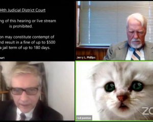 Підступний фільтр: прокурор вів засідання суду в образі кошеняти