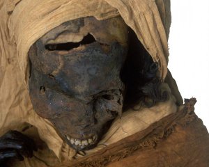 Били по обличчі, рубали сокирою і кололи списом - дізналися обставини смерті фараона