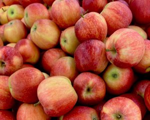 Украинцам объяснили, почему дорожают яблоки