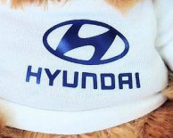 Украина получит $ 2 млн от Hyundai: на что потратят деньги