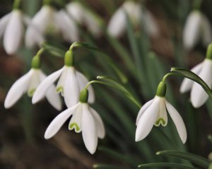"Чекайте великої води" - синоптик спрогнозував погоду на березень