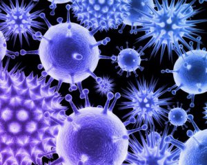 Учені пророкують нову пандемію через кажанів та свиней