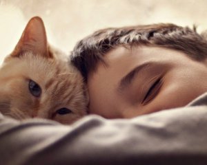 Как легко укладывать ребенка спать - разработали распорядок сна