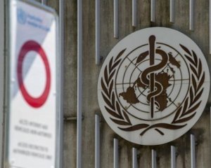 Пташиний грип: ВООЗ оцінила ризики передачі вірусу між людьми