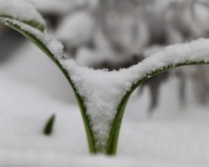 Якою погодою потішить третій день весни