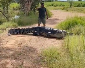 Мужчина палкой прогнал 5-метрового крокодила