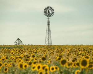 Невтішні прогнози - що чекати від погоди 2021 року