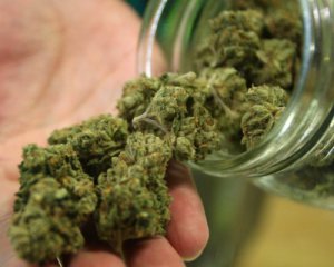 В стране хотят легализовать марихуану