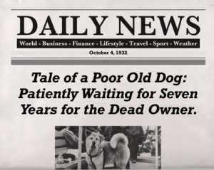 Умер самый верный пес в мире