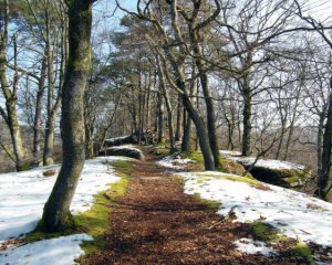 Морозно и без осадков: синоптики обновили прогноз