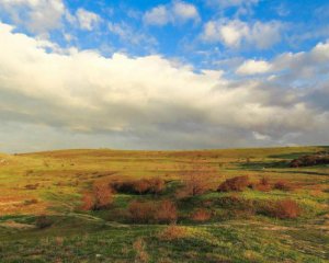 У Криму занепадає сільське господарство. Сотні тисяч людей без роботи