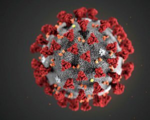 У летучих мышей обнаружили еще четыре типа коронавируса