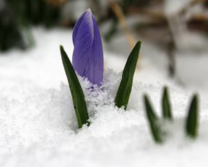 Ударят ночные морозы: какая погода будет 19 марта