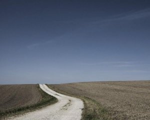 В Украине разрабатывают научно обоснованный подход к восстановлению почв