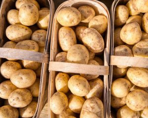 Україна купила картоплі за кордоном у 2,3 тис. разів більше, ніж продала