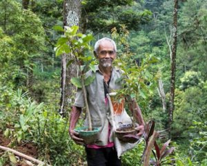 Мужчина за 24 года озеленил бесплодную пустыню