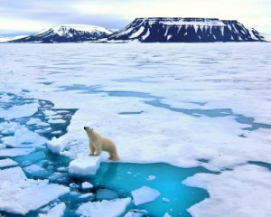 Лед в Арктике растаял до рекордного минимума