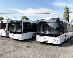 Львів відмовляється купувати 100 автобусів МАЗ
