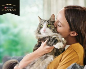 Nestlé Purina® представляє Pro Plan® LiveClear®, перший у світі корм, що зменшує рівень алергенів у котів