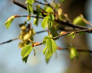 Українців порадували прогнозом на вихідні