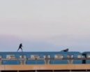 Подростки катались на крыше вагона метро