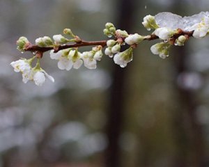 До плюс 23°: якою буде погода наступного тижня