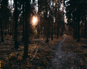 Сни з 11 на 12 квітня збудуться через тиждень - у що вірили наші предки