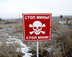 На Донбассе насчитали почти 300 минных полей