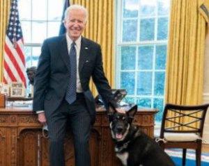 У Байдена придумали, что делать с собакой, который дважды покусал сотрудников Белого дома