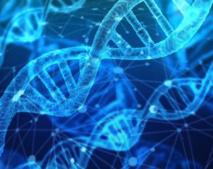 Розшифрували людський геном