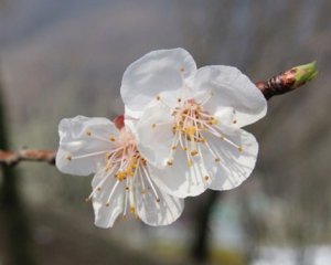 Прикмети 15 квітня: що сьогодні робити, аби збільшити доходи