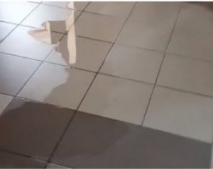 Женщина справила нужду в коридоре школы и выложила в сеть видео