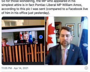 Депутат появился голый на онлайн-встрече членов парламента