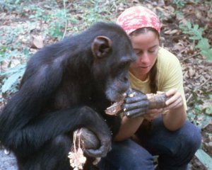 Женщина прожила 6 лет с шимпанзе в джунглях