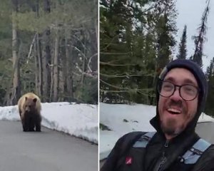 В США медведь преследовал бегуна