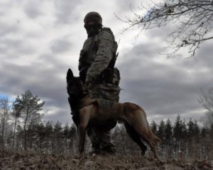 СБУ попередила про масштабні антитерористичні дії: можлива перевірка документів та особливий режим