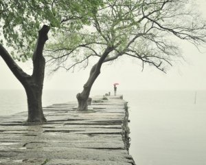 Україну накриють заморозки, ітимуть дощі - синоптики оновили прогноз погоди на тиждень