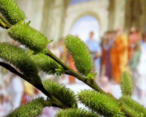 Народные приметы 25 апреля - что сегодня нельзя делать