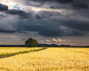 Народні прикмети 28 квітня: що сьогодні заборонено робити