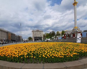 В центре Киева расцвели сотни тысяч тюльпанов