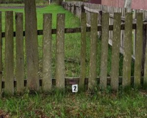 18-річний під час відпочинку забив до смерті знайомого