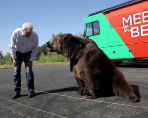 Кандидата в губернаторы раскритиковали за использование медведя в кампании