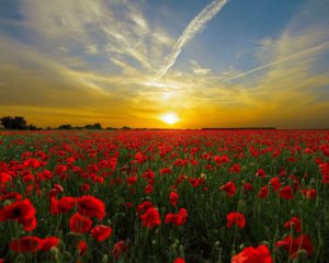 Народні прикмети 11 травня. Дізнаємося, яка погода буде влітку