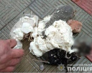 Шкуродер задув монтажною піною кішку з кошенятами