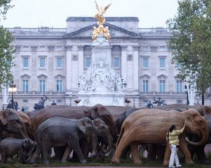 У Букингемского дворца появились 125 деревянных слонов