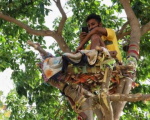Больной коронавирусом самоизолировался на дереве, чтобы не заразить семью