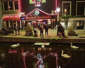 Послабили карантин - повіям знову дозволили працювати