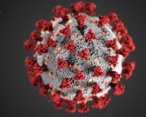 Вирус Covid-19 вышел из лаборатории - исследование