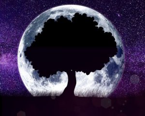 Перше місячне затемнення 2021: до чого готуватися й чому воно таке особливе