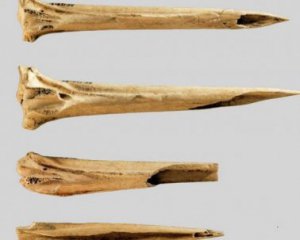 Знайшли інструменти для татуювань віком понад 3 тис. років